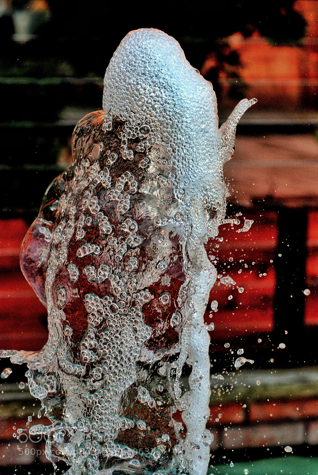 Nikon D80 sample photo. Untitled photography