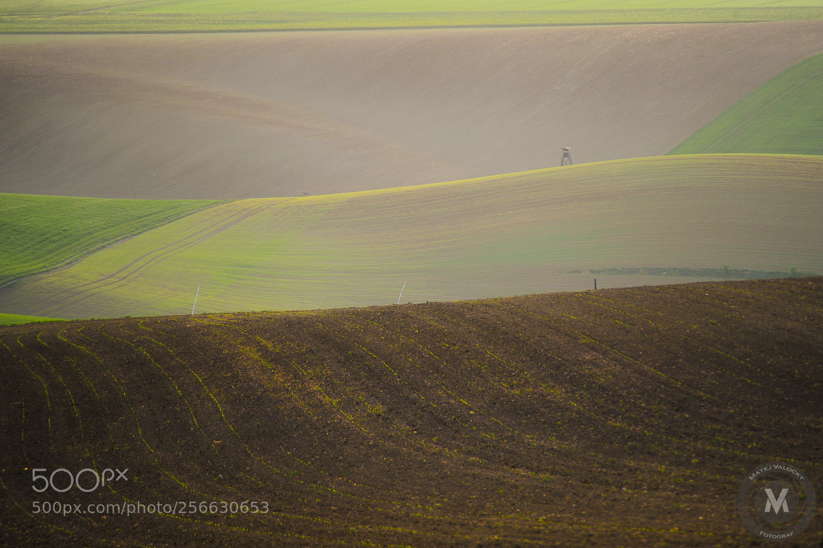 Nikon D700 sample photo. 700_9508.jpg (slovak tuscany) photography