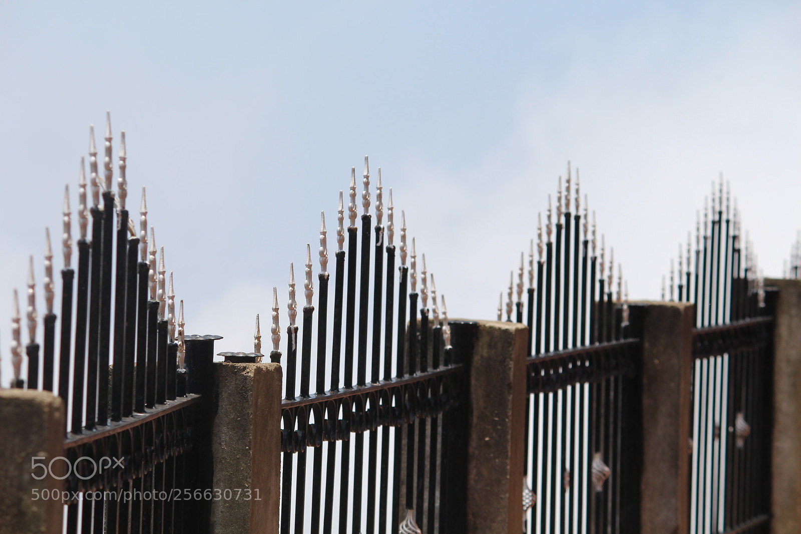 Canon EF-S 55-250mm F4-5.6 IS II sample photo. Fence spikes photography