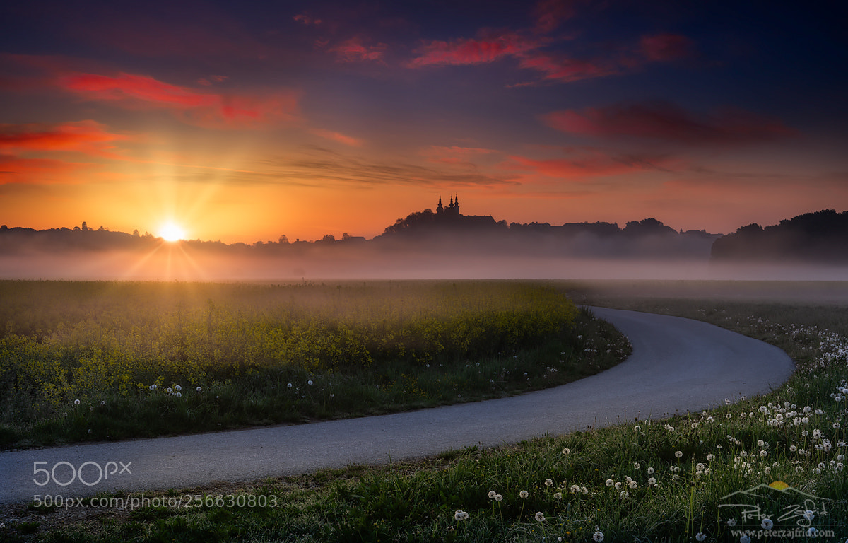 Nikon D810 sample photo. Spring morning photography