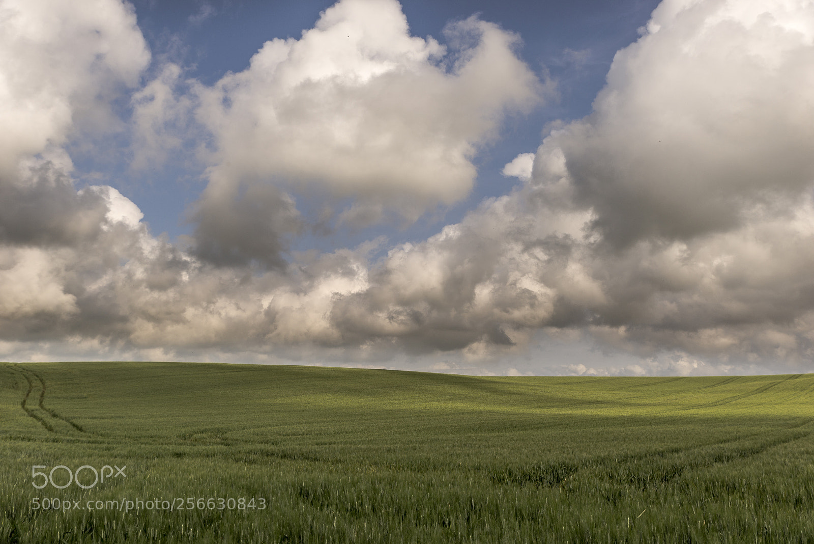 Nikon D610 sample photo. Il colore del pane photography