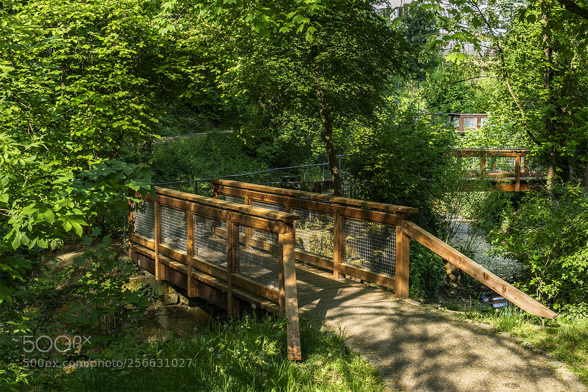Sony a7R II sample photo. Reutlingen 050518-022 photography