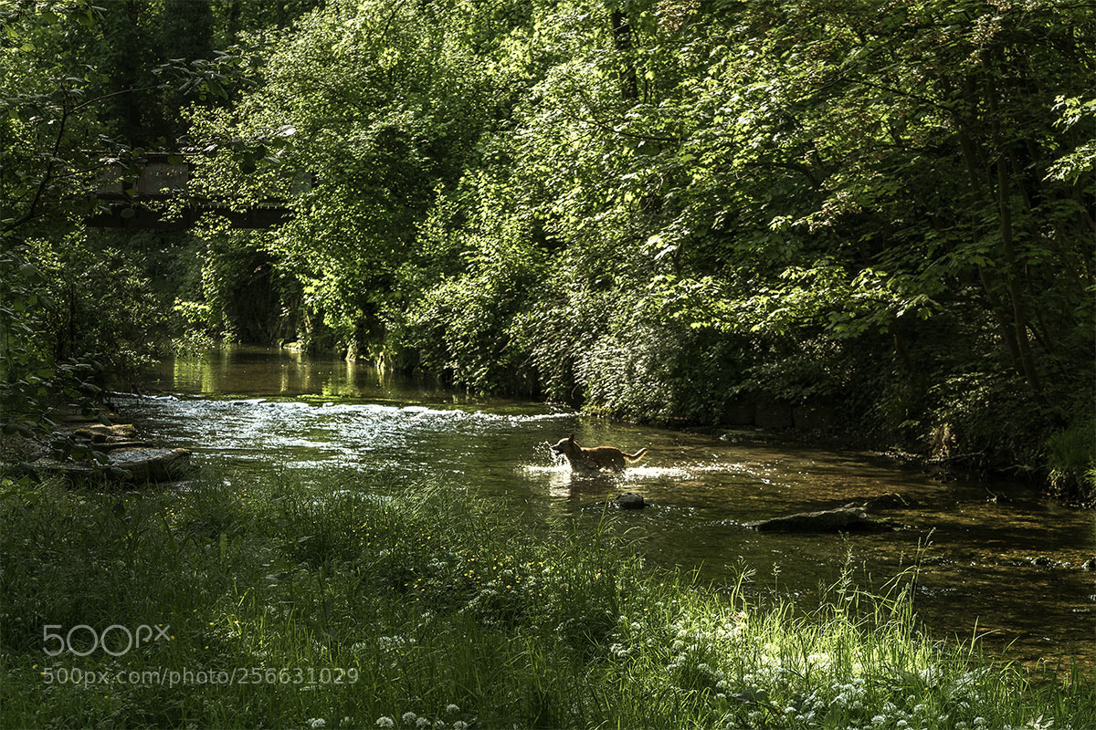 Sony a7R II sample photo. Reutlingen 050518-020 photography