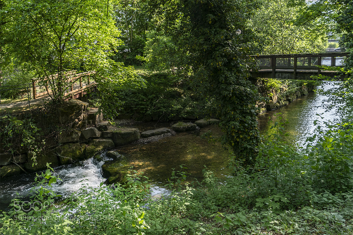 Sony a7R II sample photo. Reutlingen 050518-024 photography