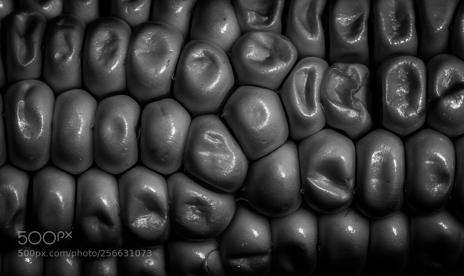 Canon EOS 77D (EOS 9000D / EOS 770D) sample photo. Flakes of corn photography