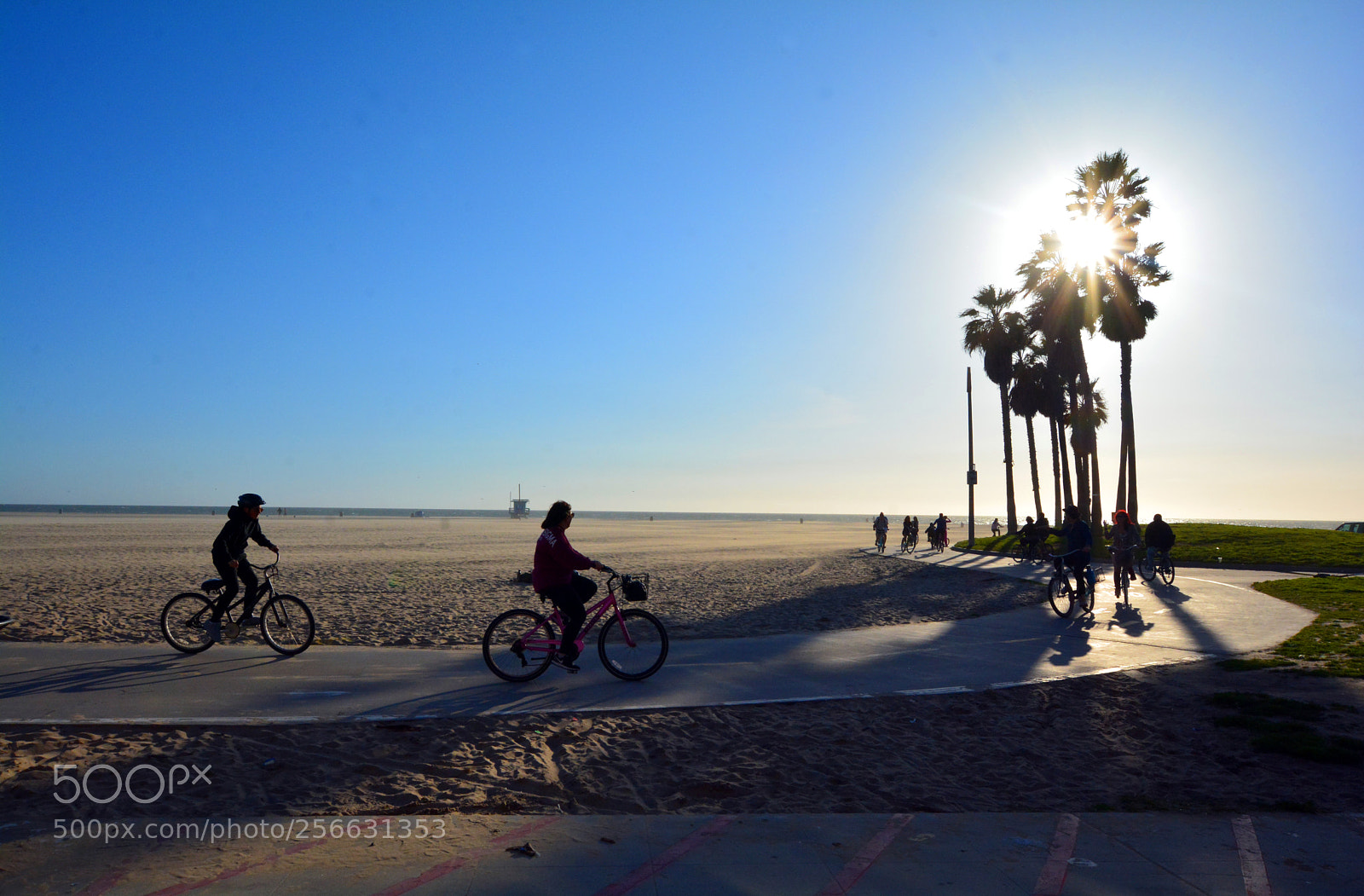 Nikon D7100 sample photo. Venice beach photography