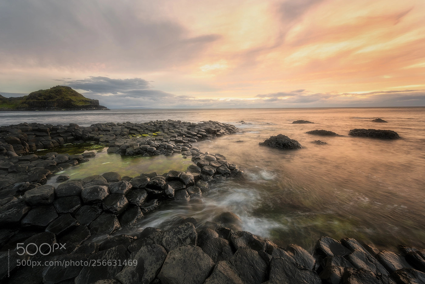 Nikon D810 sample photo. A day with giants photography