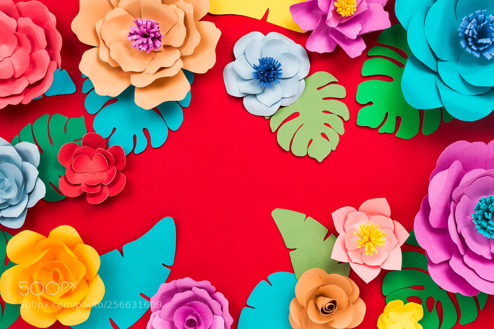 Nikon D610 sample photo. Beautiful floral spring or photography