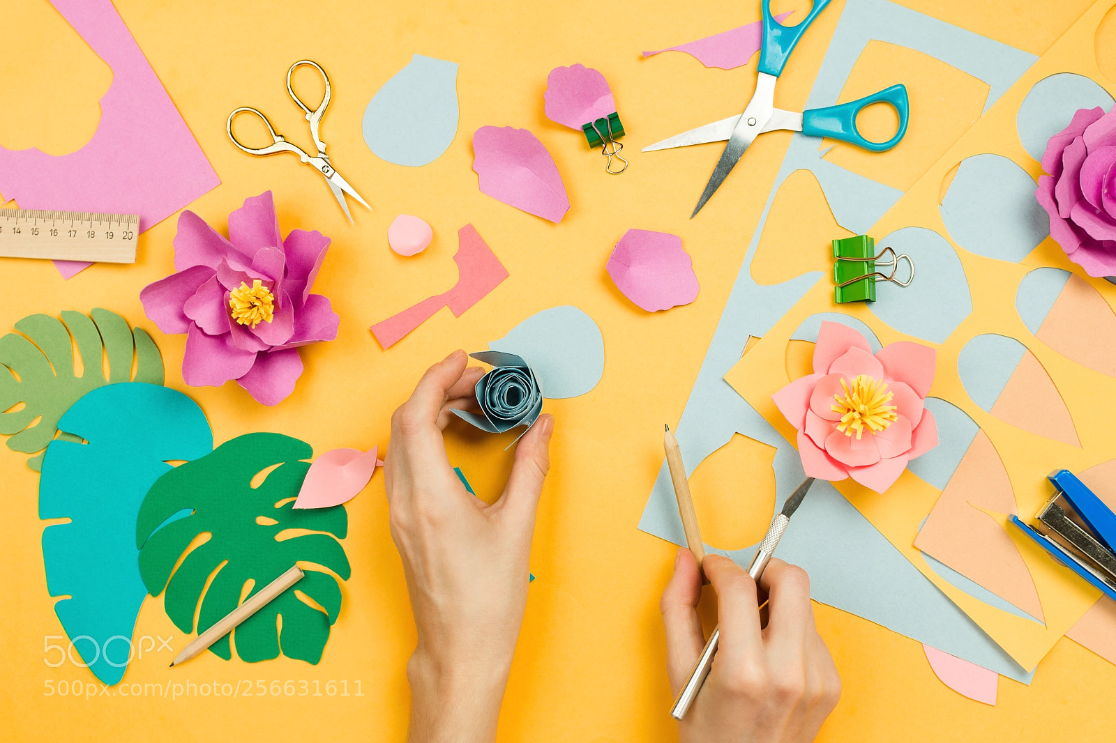 Nikon D610 sample photo. Flatlay with woman's hands photography