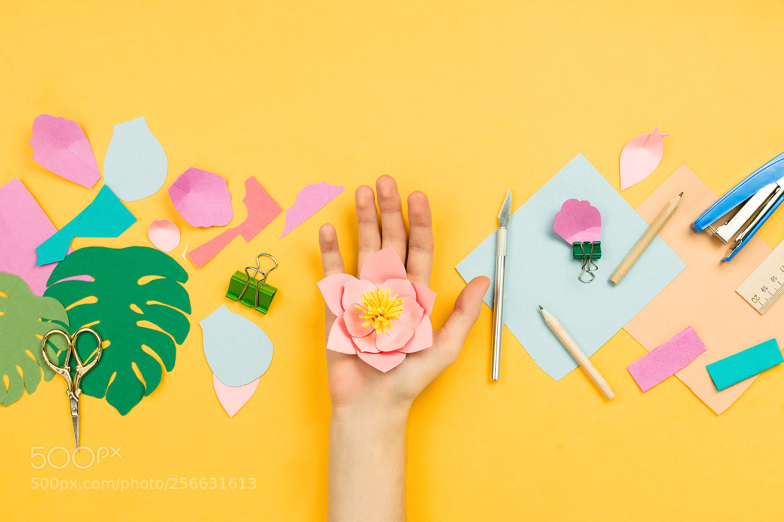 Nikon D610 sample photo. Flatlay with woman's hands photography
