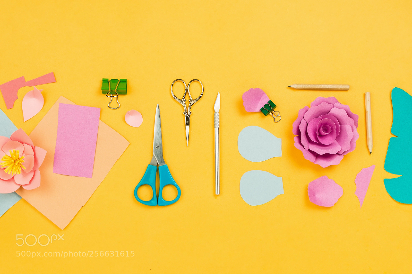 Nikon D610 sample photo. Flatlay with papercraft flowers photography