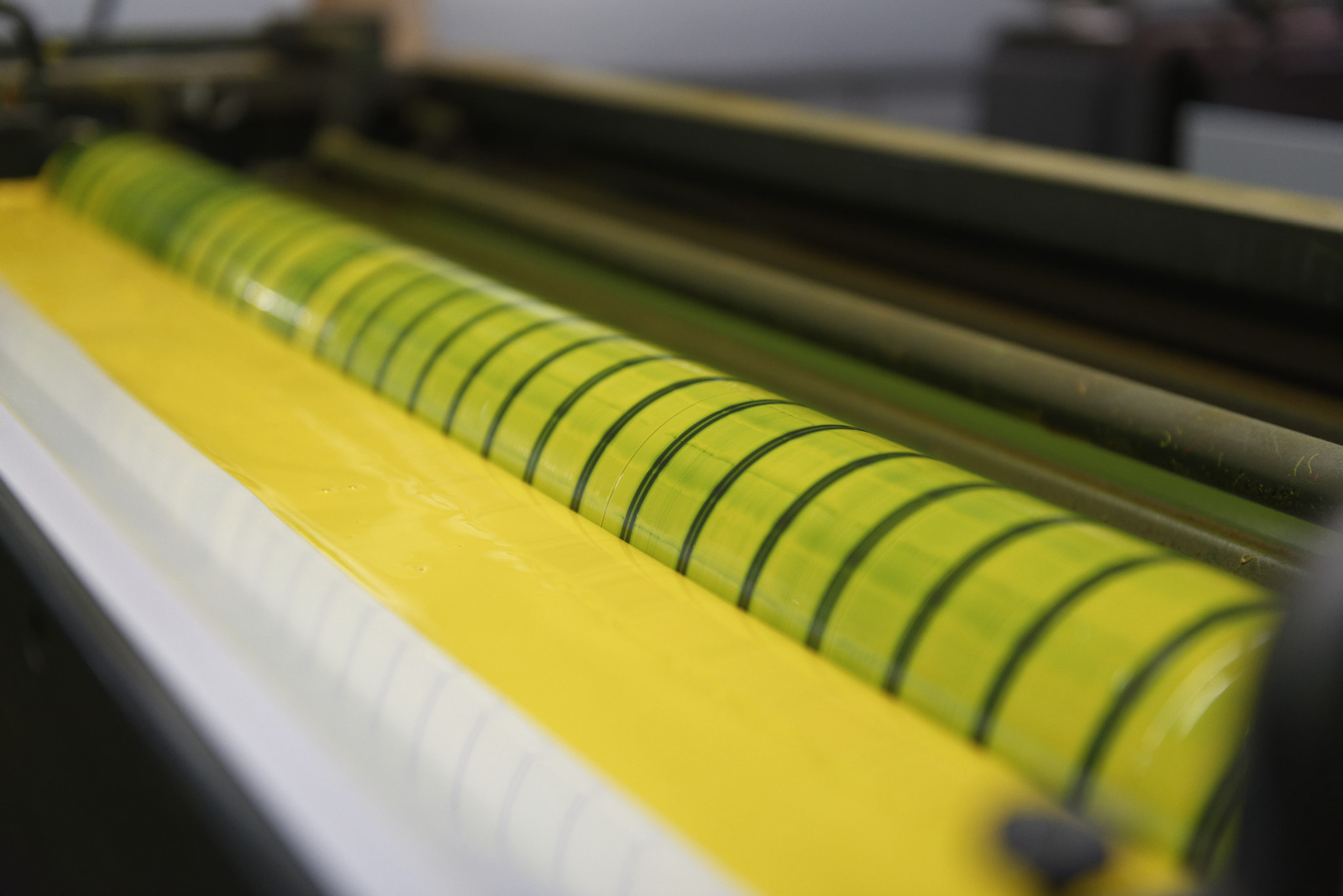 Nikon AF-S Nikkor 24-70mm F2.8G ED sample photo. Frozen latitudes in yellow photography