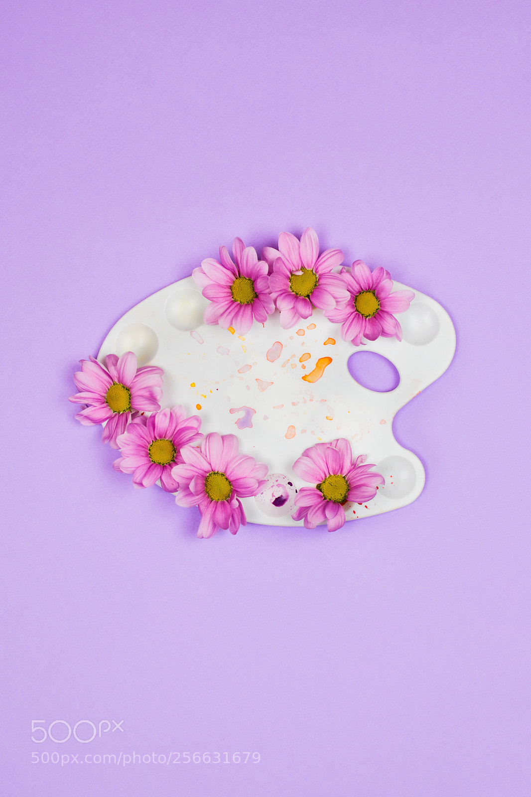 Nikon D610 sample photo. White plastic artist palette photography