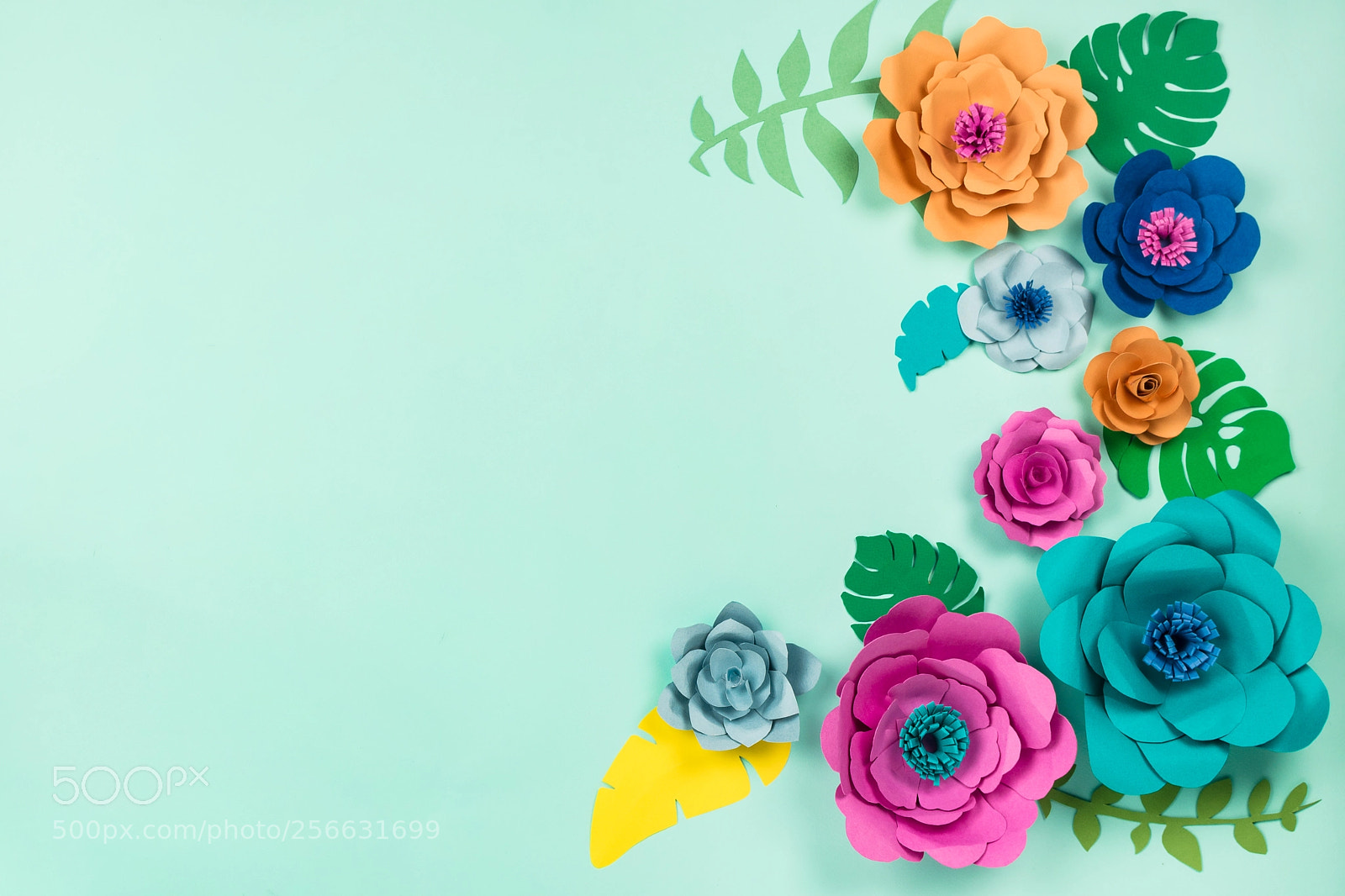Nikon D610 sample photo. Beautiful floral spring or photography