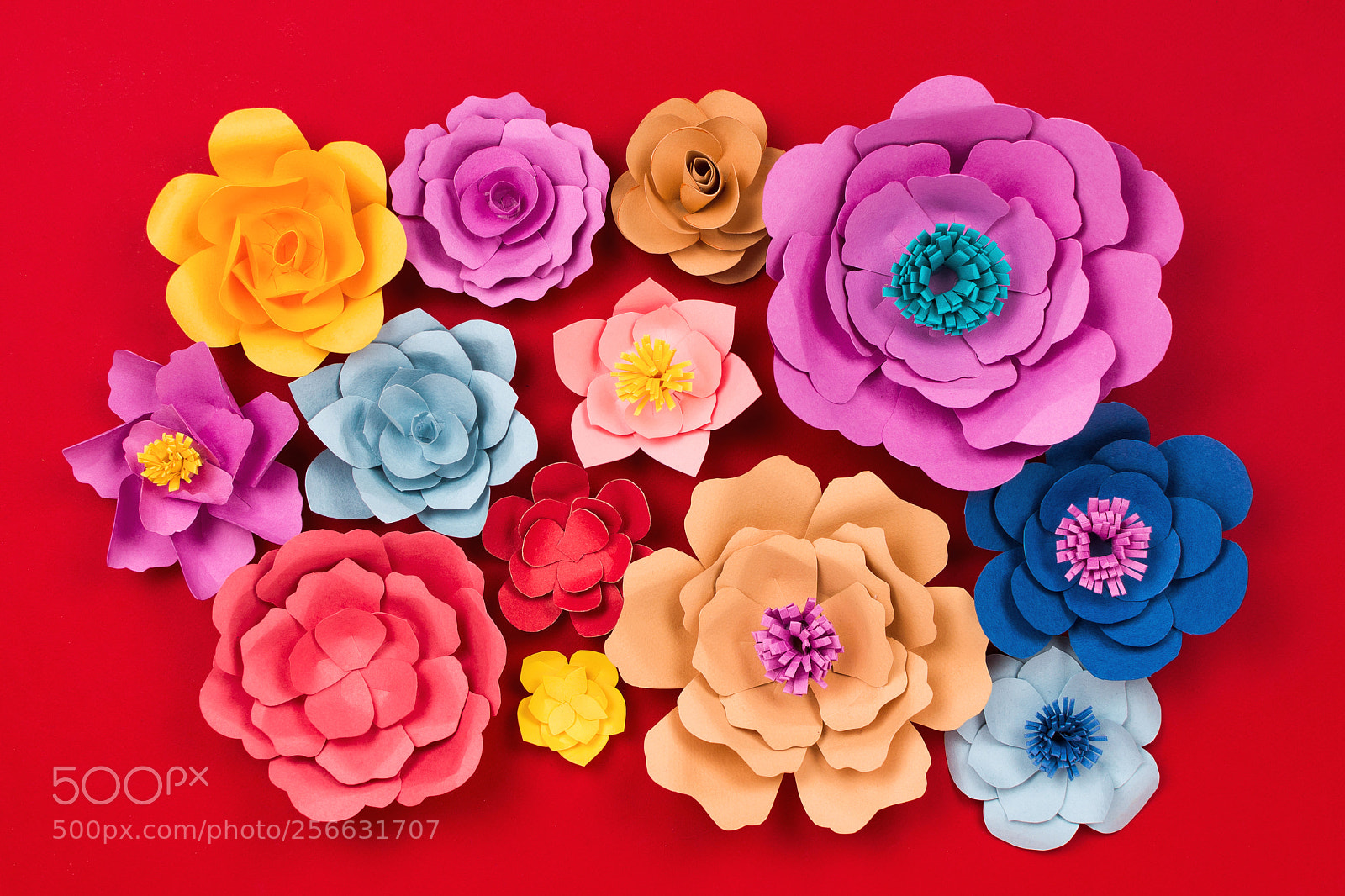 Nikon D610 sample photo. Beautiful floral spring or photography