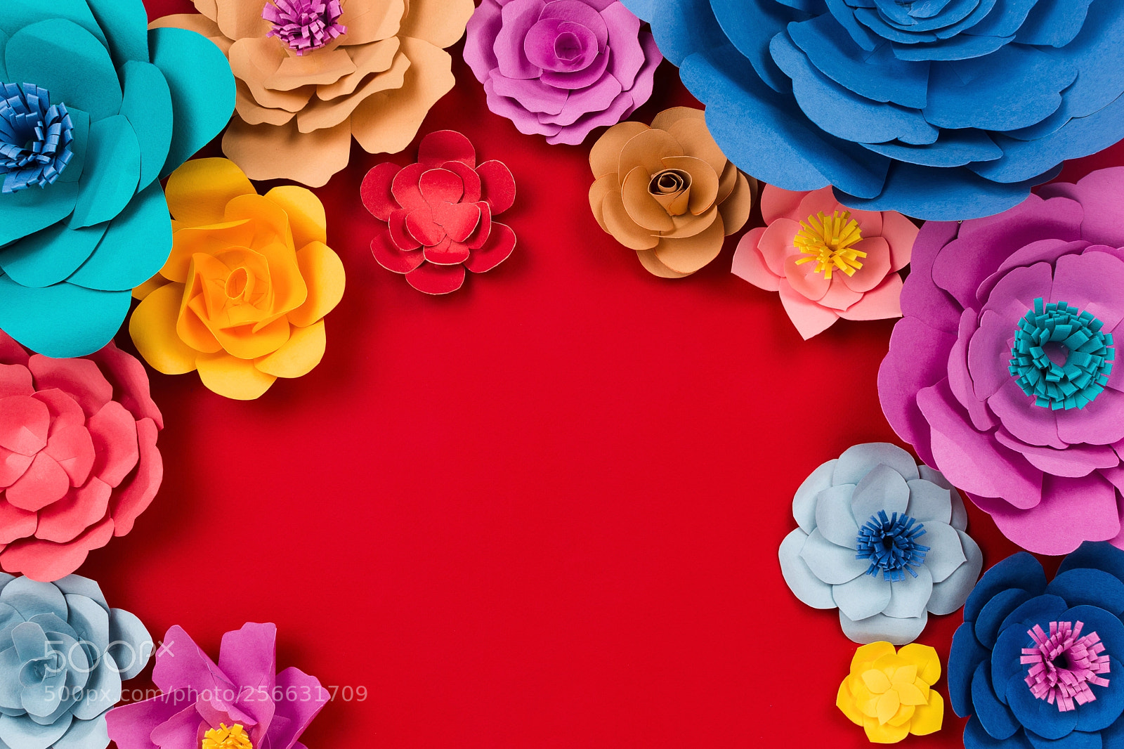 Nikon D610 sample photo. Beautiful floral spring or photography