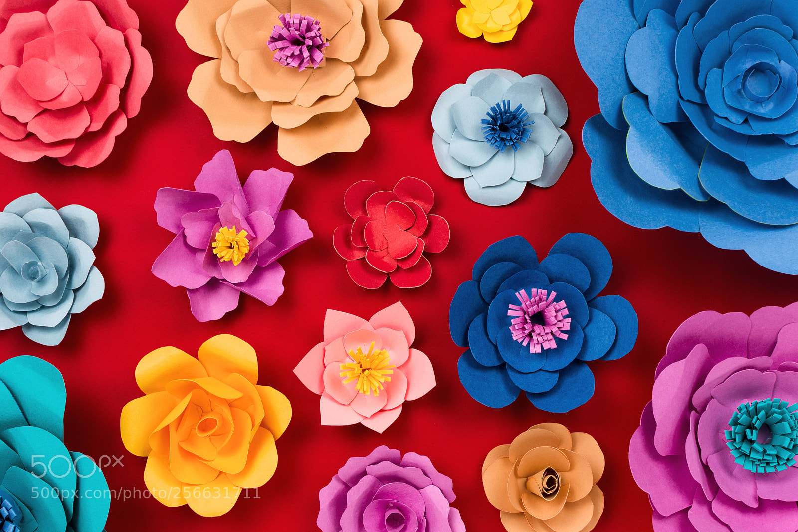 Nikon D610 sample photo. Beautiful floral spring or photography