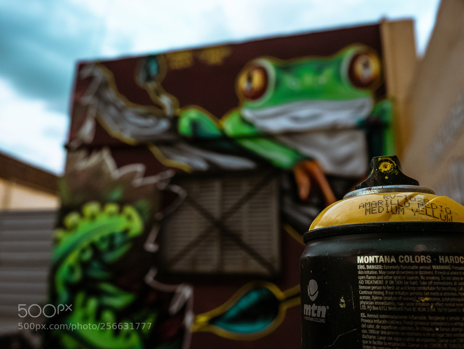 Panasonic Lumix DMC-G7 sample photo. Yellow sprays photography