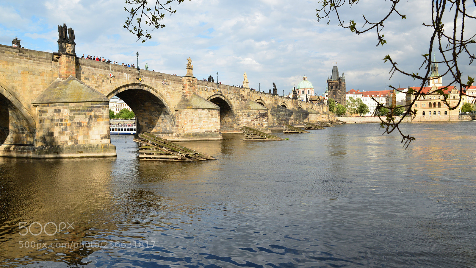 Nikon D610 sample photo. Charles bridge photography