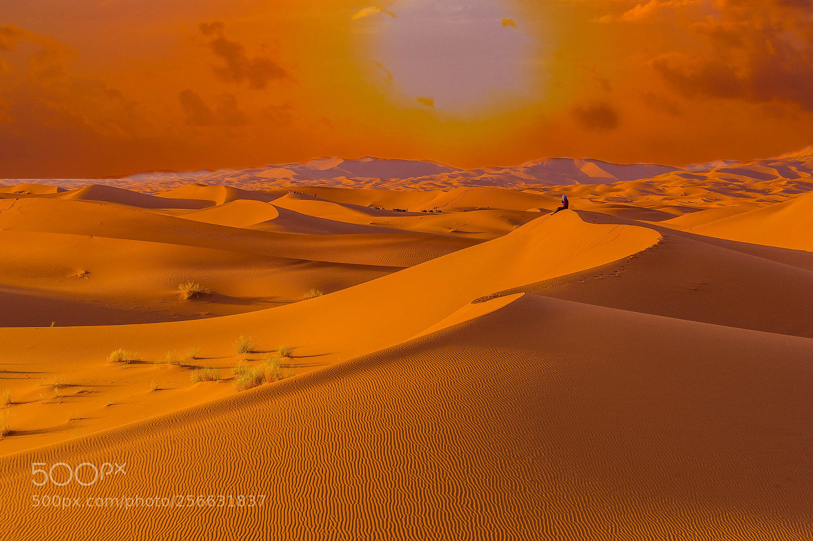 Nikon D4 sample photo. Desert merzouga photography