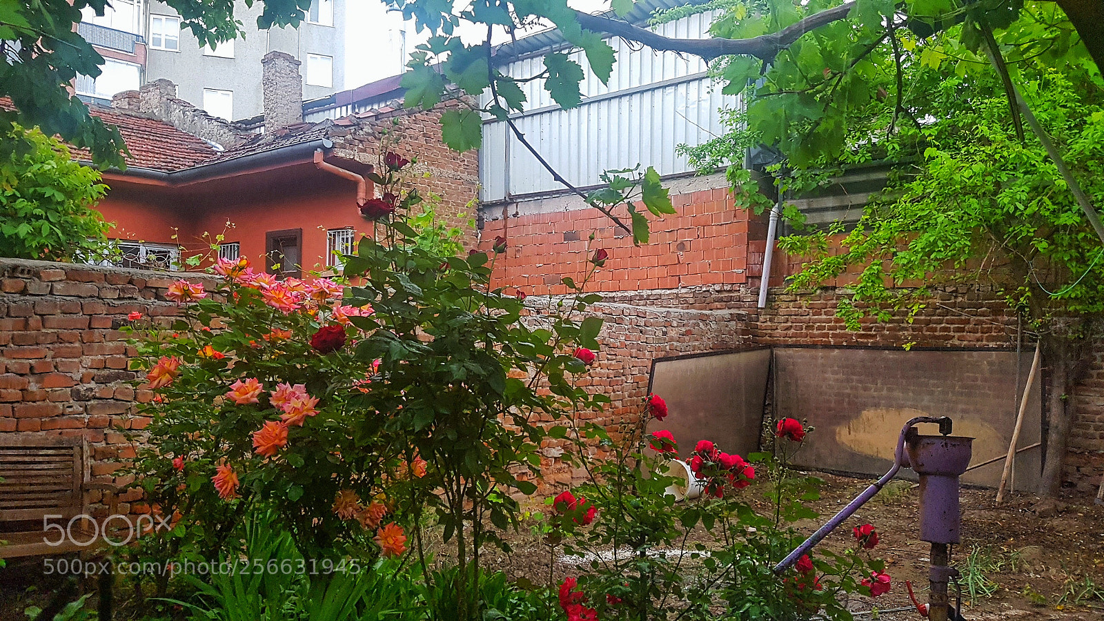 Samsung Galaxy S7 Edge sample photo. 20180505_174538 photography