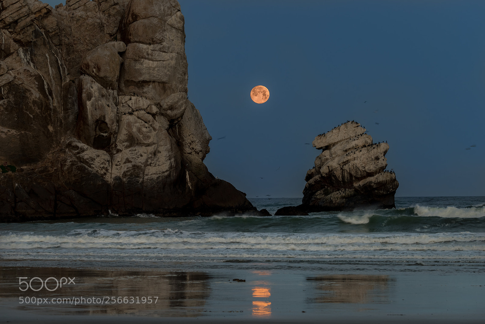 Pentax K-1 sample photo. Moonset, morro rock photography