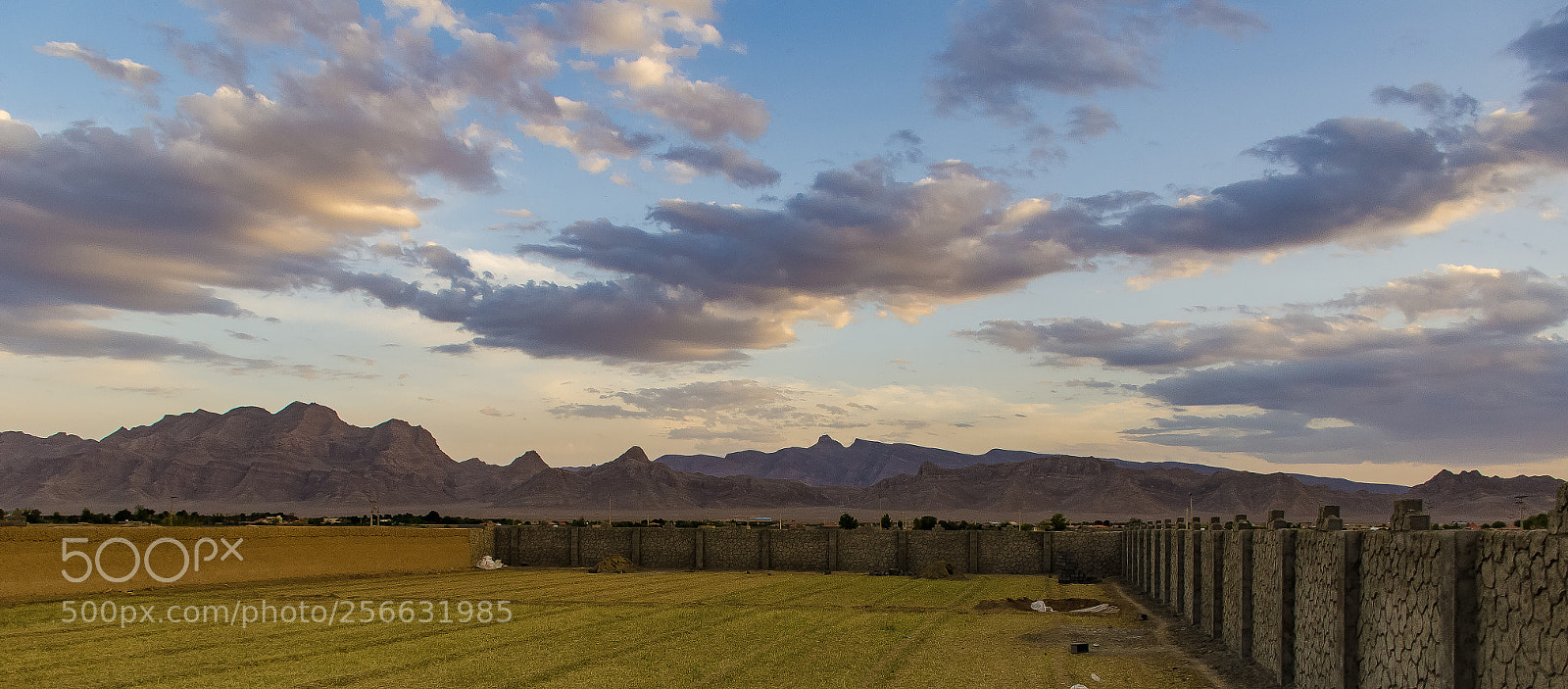 Nikon D7000 sample photo. Untitled photography