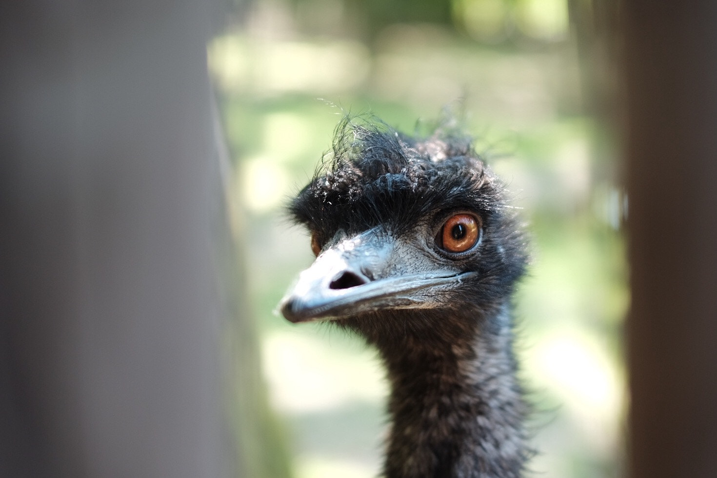 Fujifilm X-E2S sample photo. Img photography