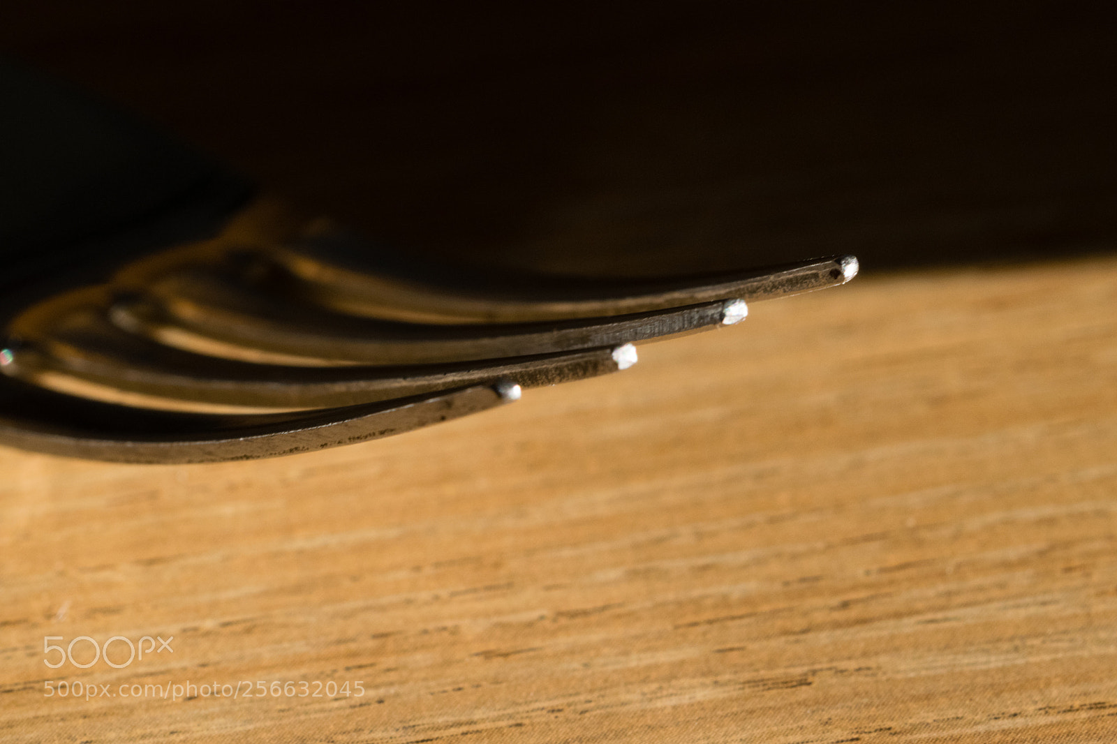 Nikon D3300 sample photo. Fork off photography