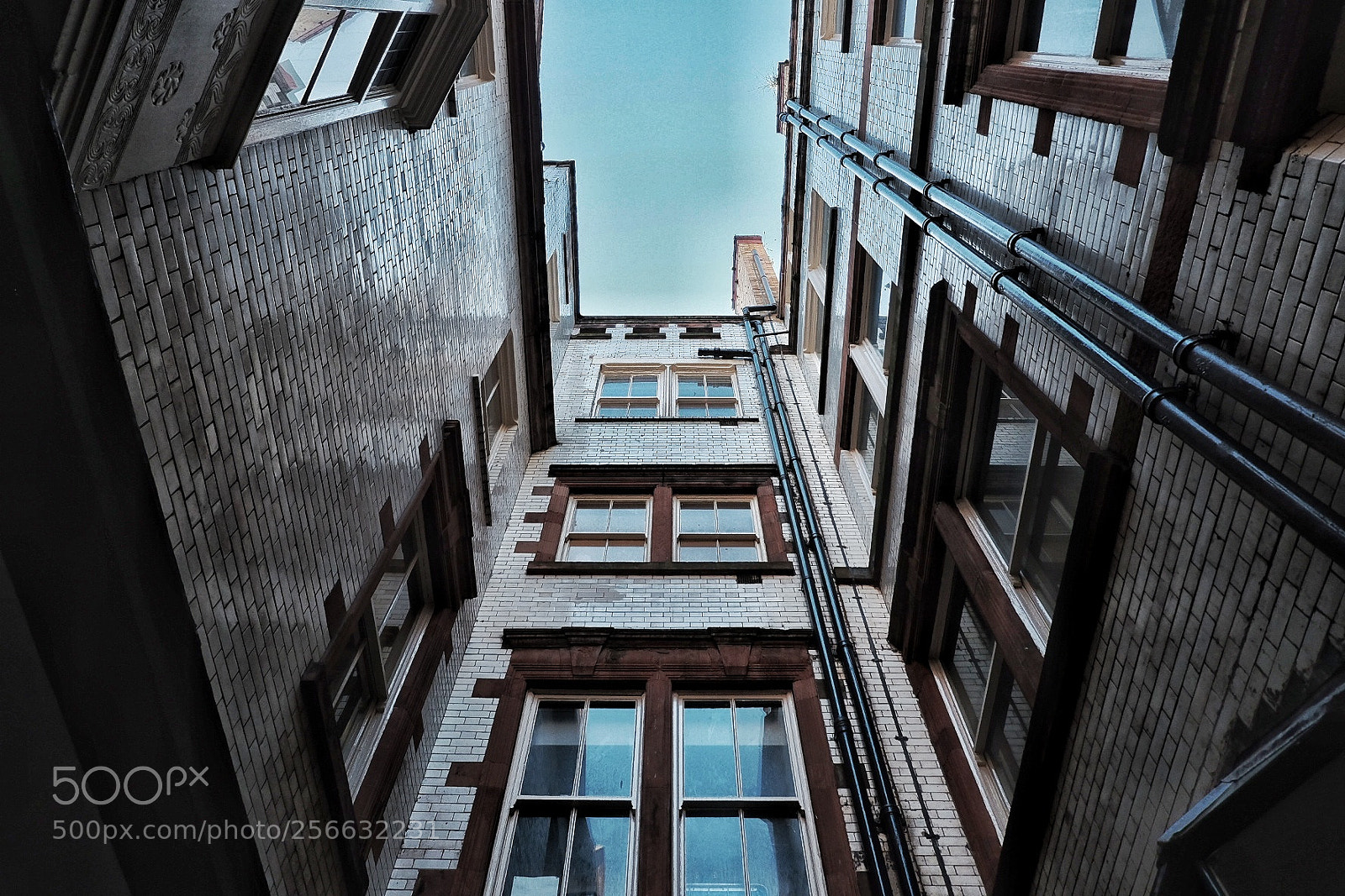 Fujifilm X-T10 sample photo. Untitled photography