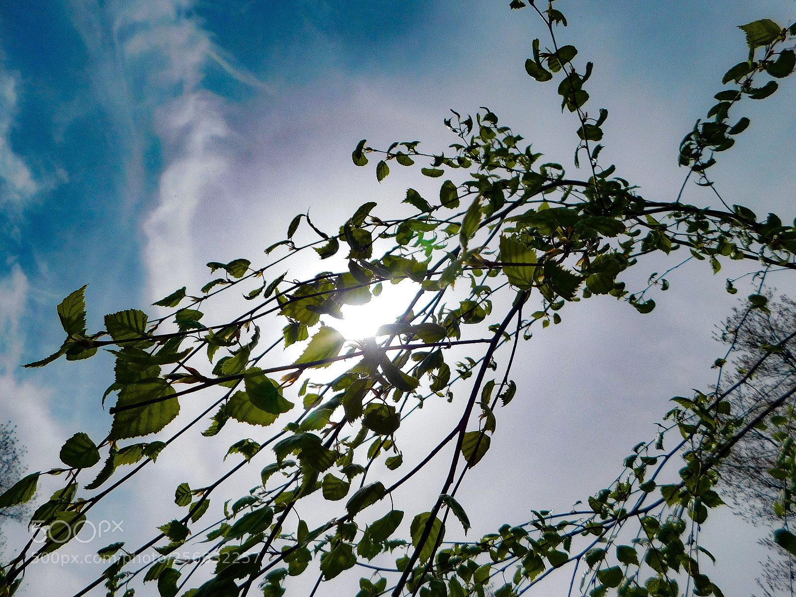 Nikon Coolpix B500 sample photo. Untitled photography