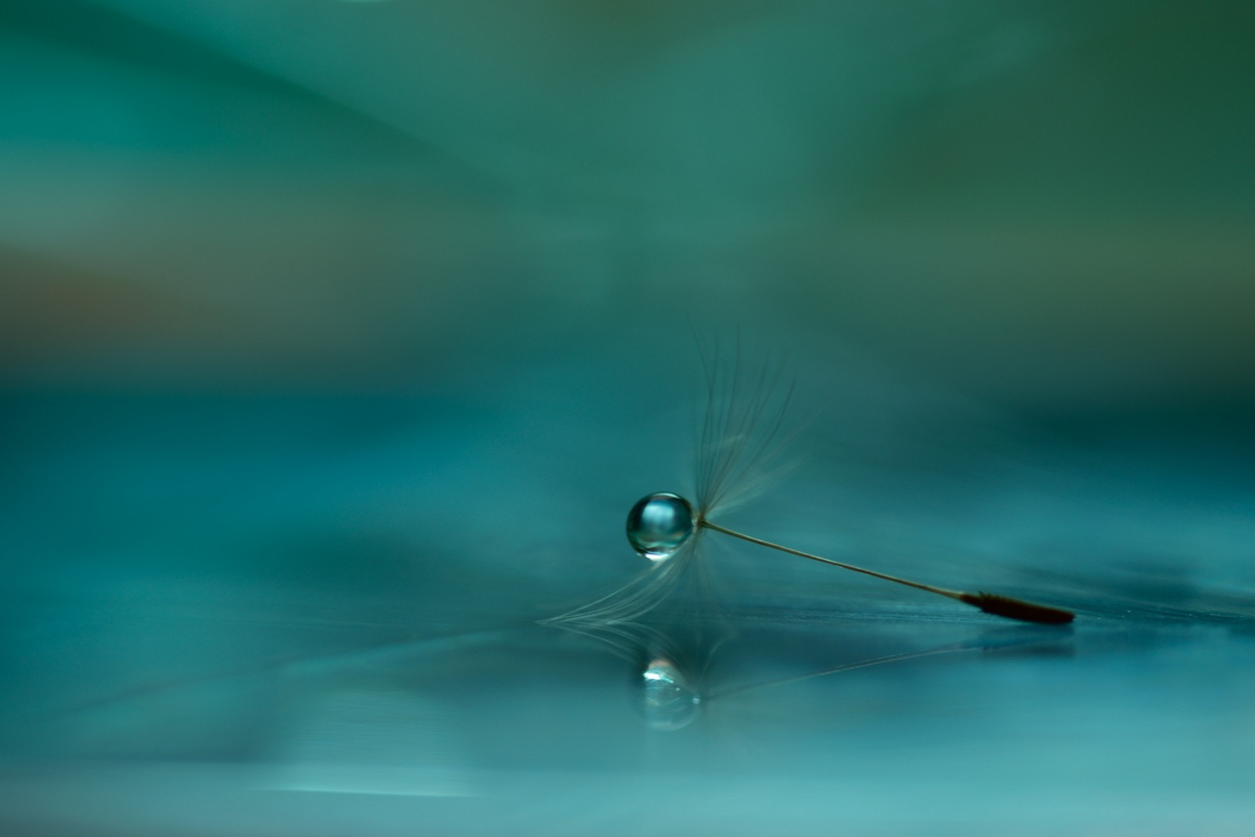 Sigma 105mm F2.8 EX DG OS HSM sample photo. Abandonment photography