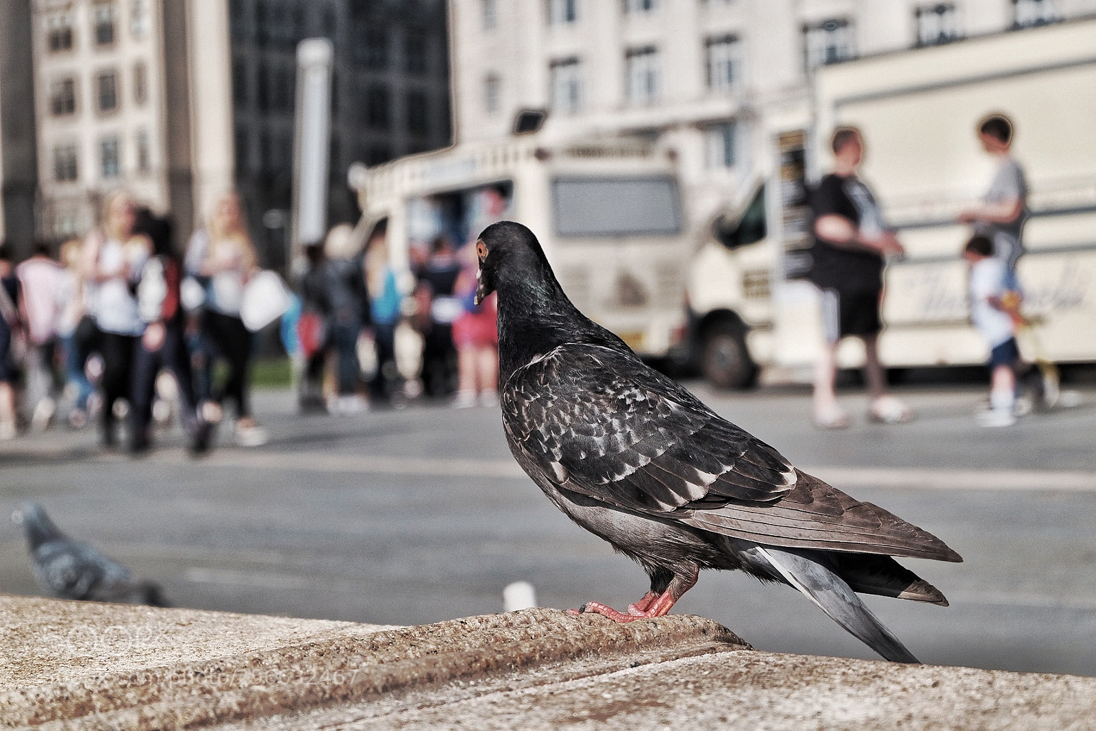 Fujifilm X-T10 sample photo. Untitled photography