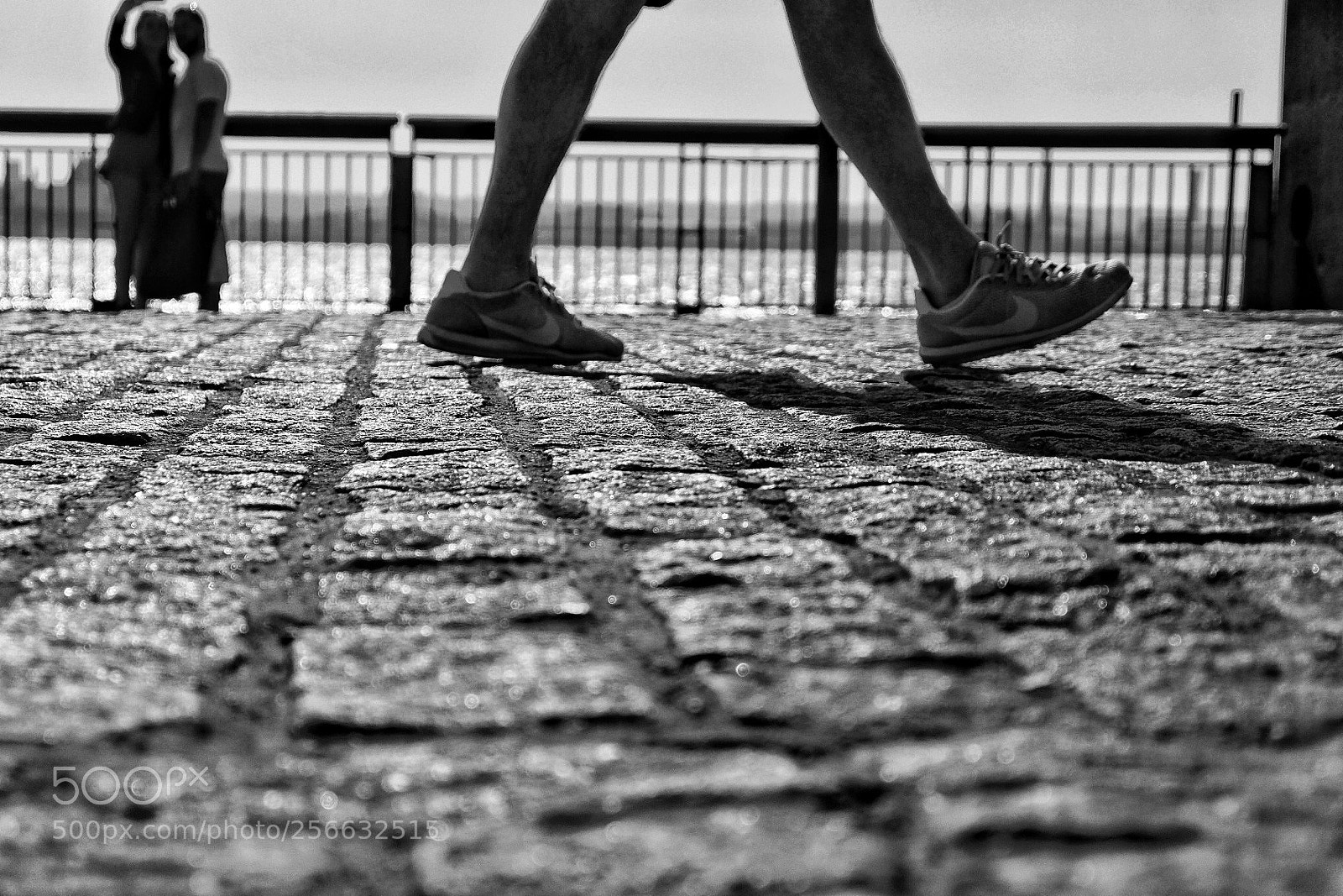 Fujifilm X-T10 sample photo. Untitled photography