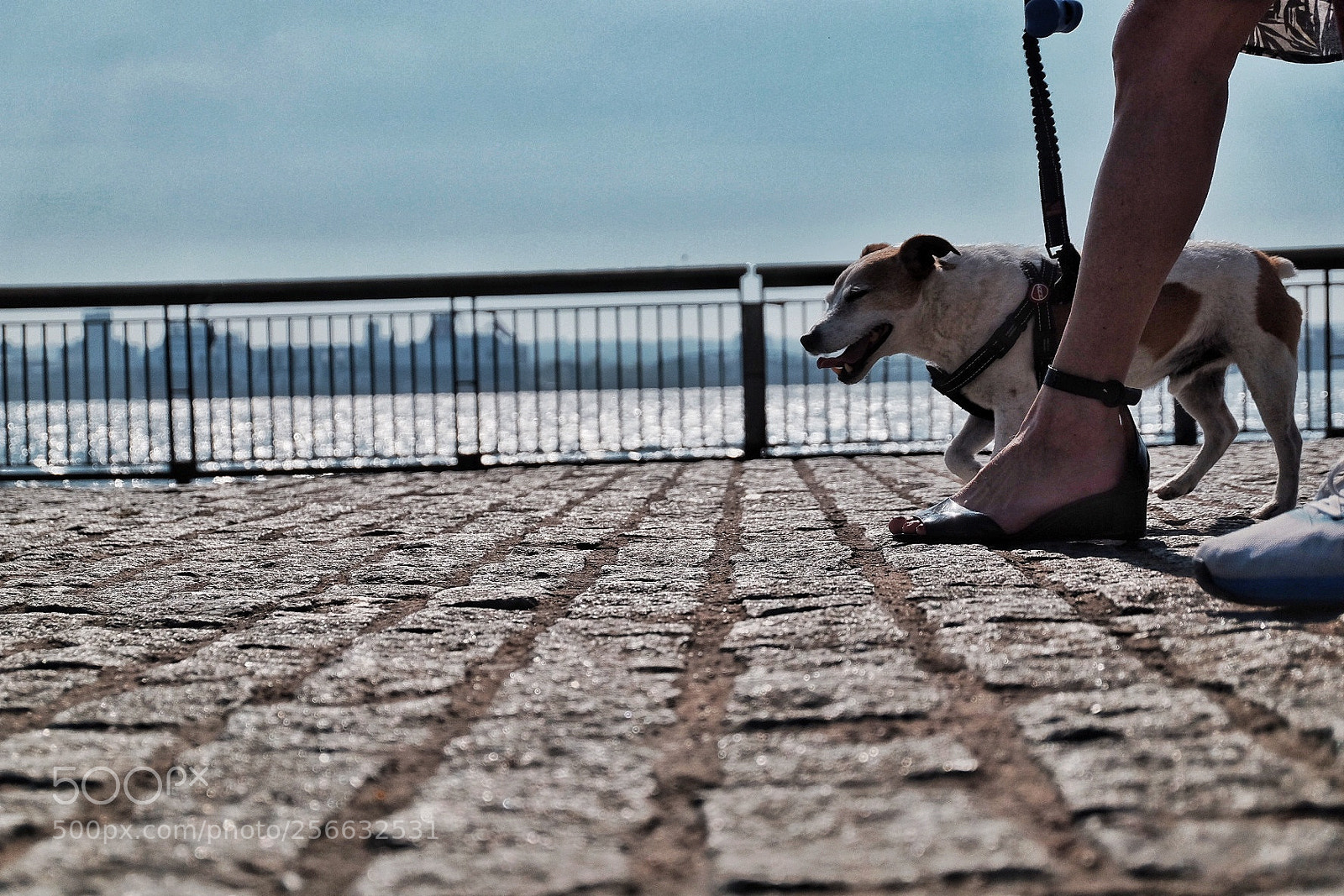 Fujifilm X-T10 sample photo. Untitled photography