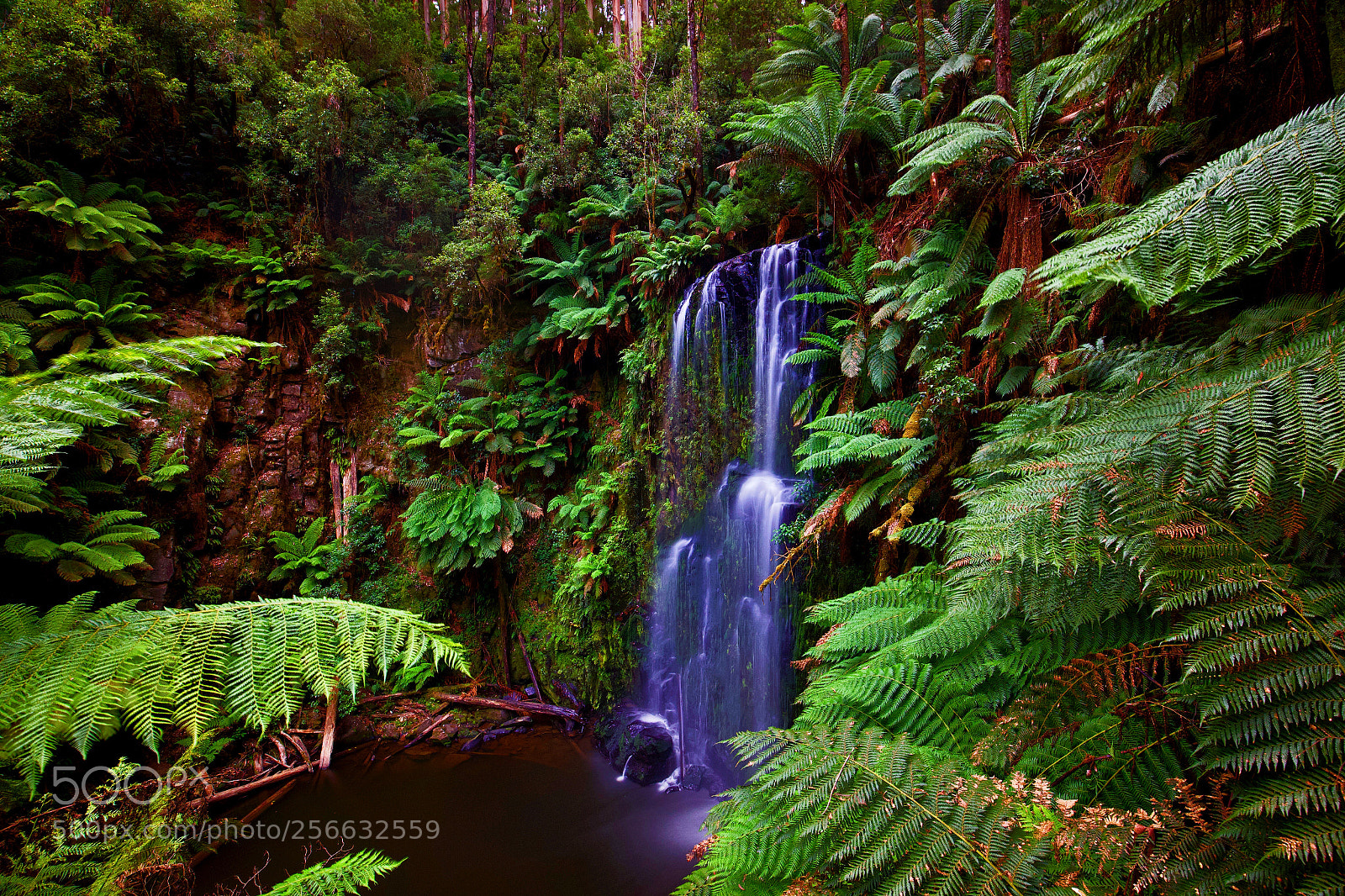 Canon EOS 6D sample photo. Beauchamp falls photography