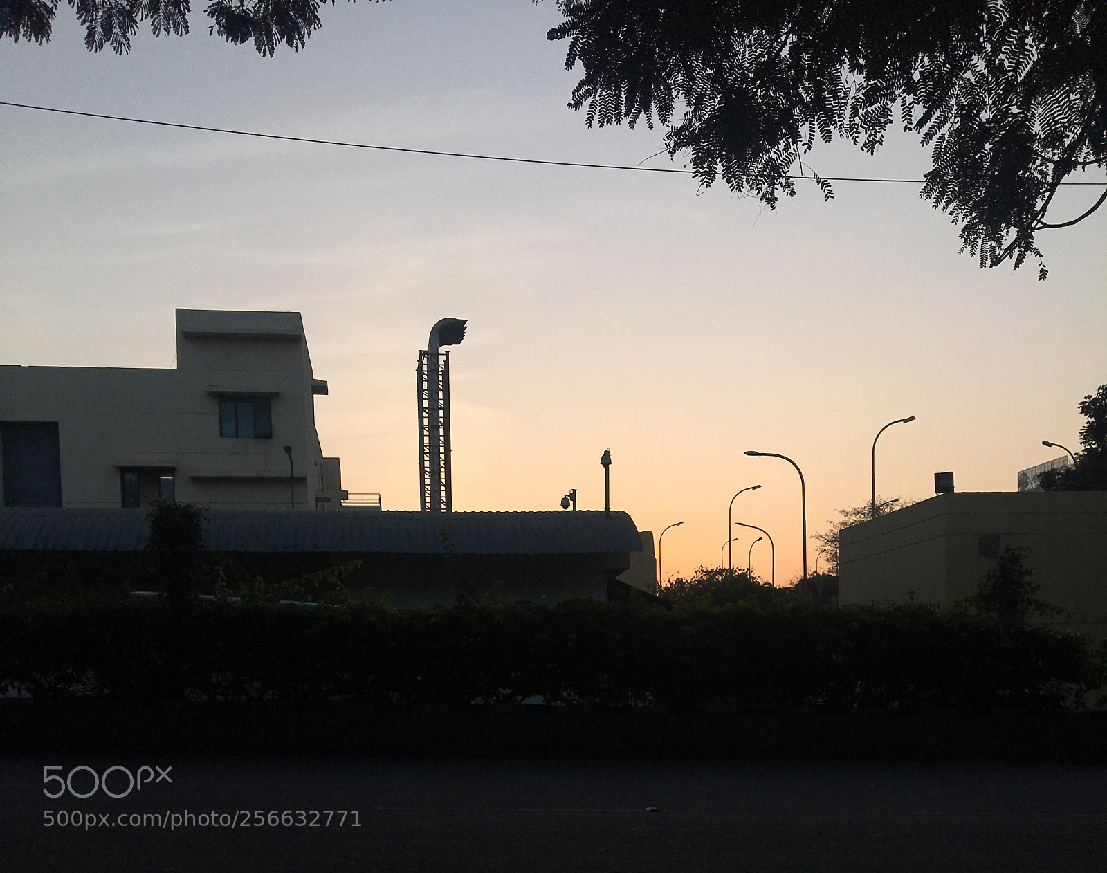 Apple iPhone 6s sample photo. Good morning ✌ photography