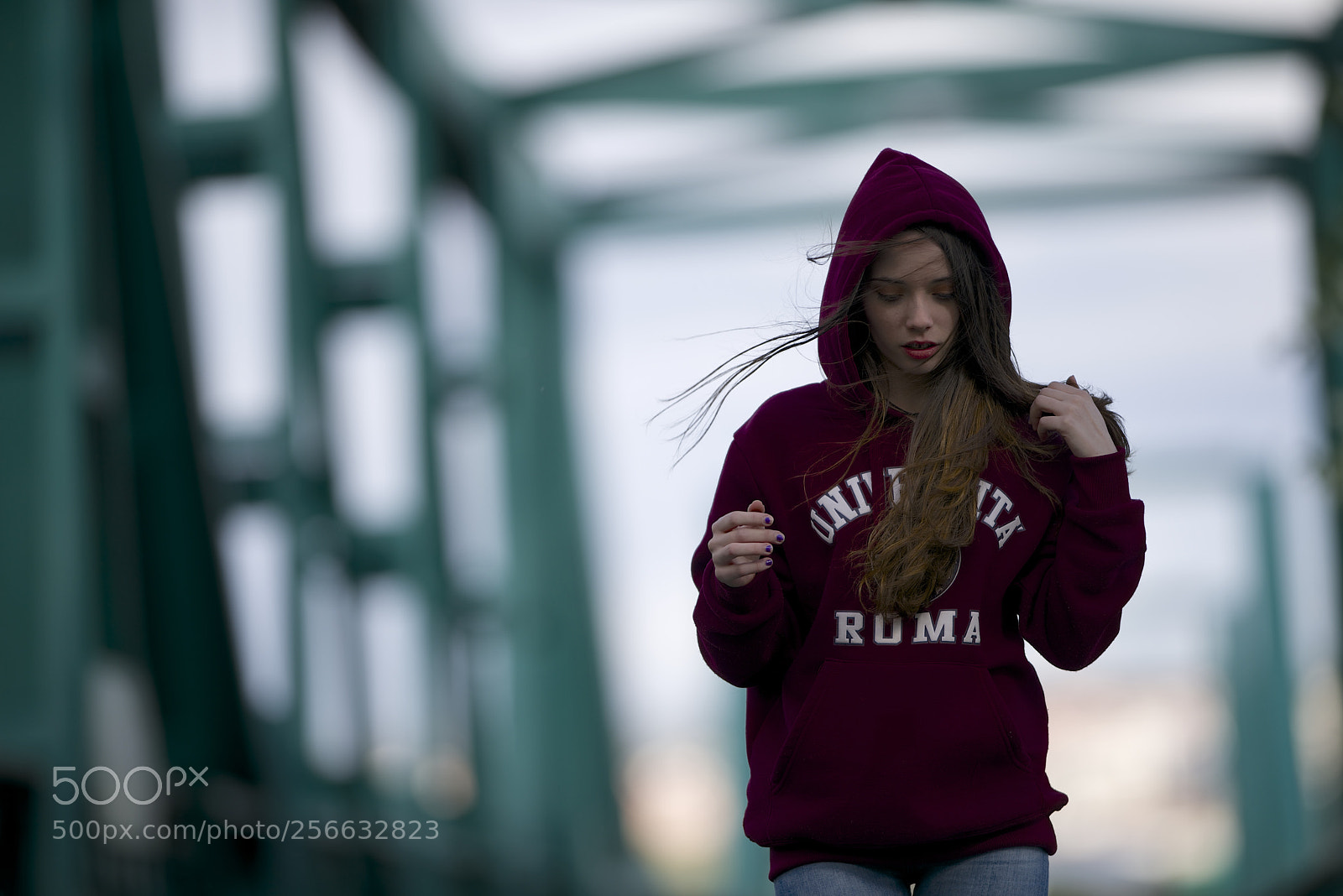 Nikon D800 sample photo. Puente verde v photography
