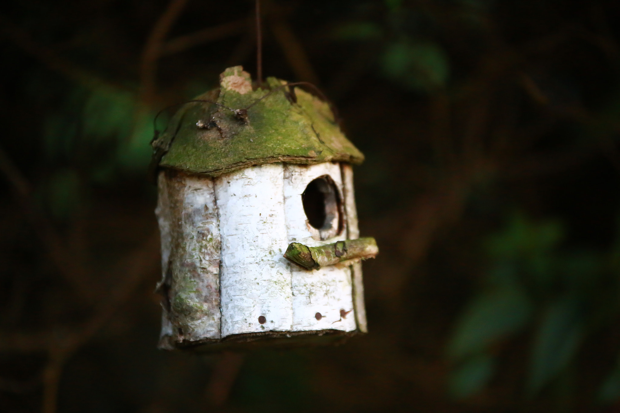 Sigma 70-200mm F2.8 EX DG OS HSM sample photo. Vogelhaus photography