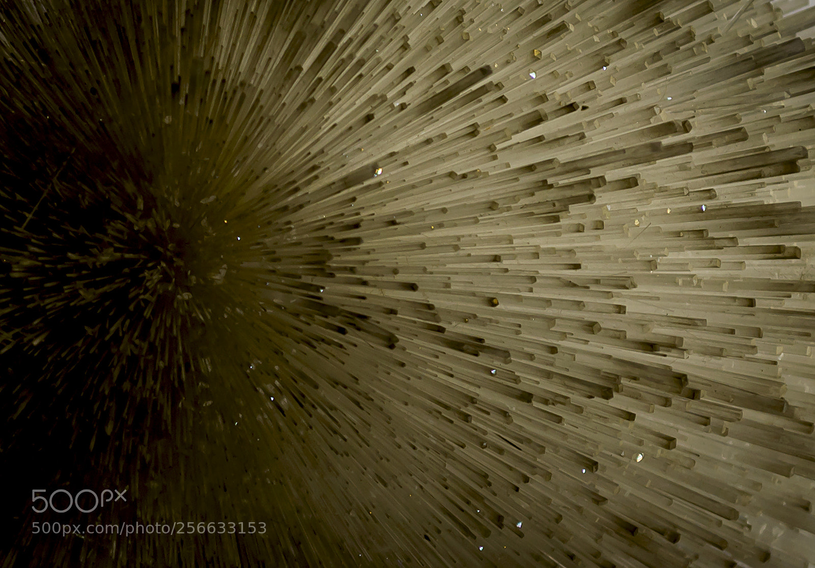 Nikon D5100 sample photo. The crystal world photography