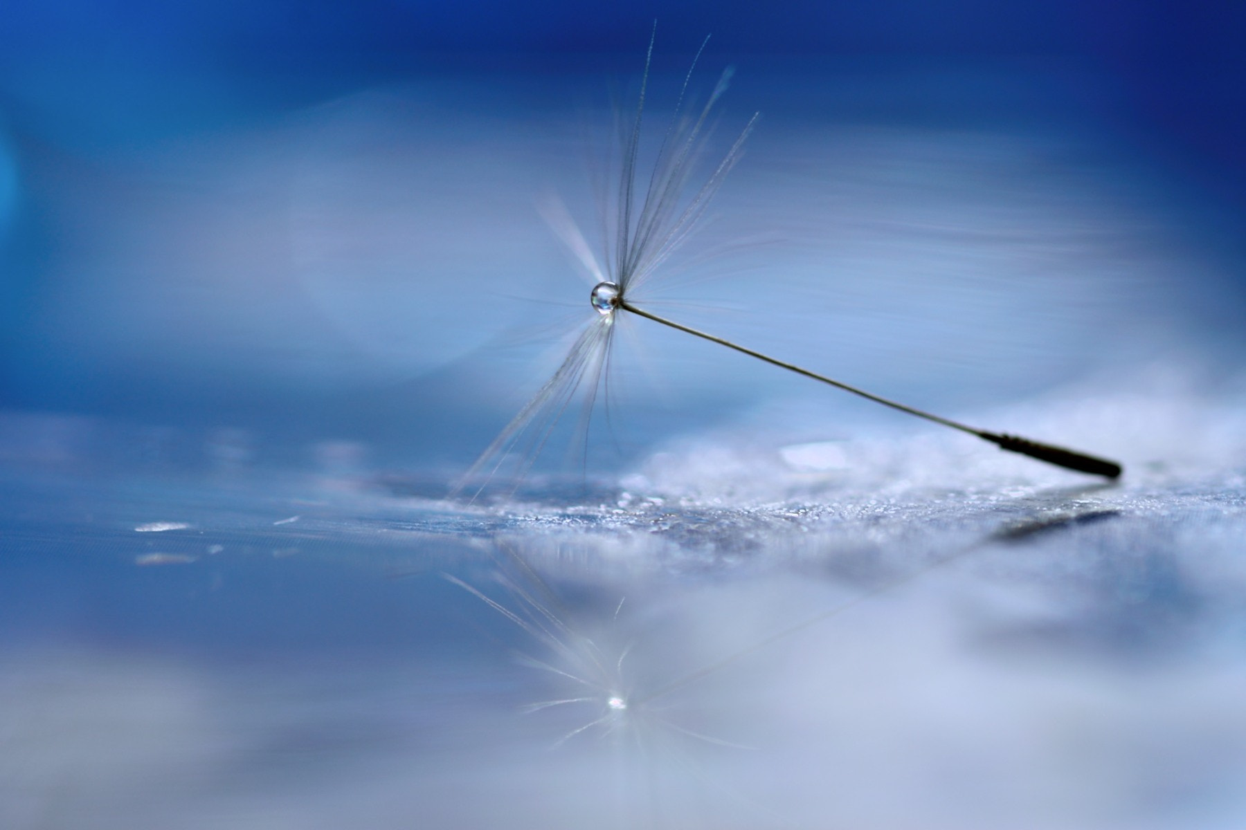 Sigma 105mm F2.8 EX DG OS HSM sample photo. Land of ice photography