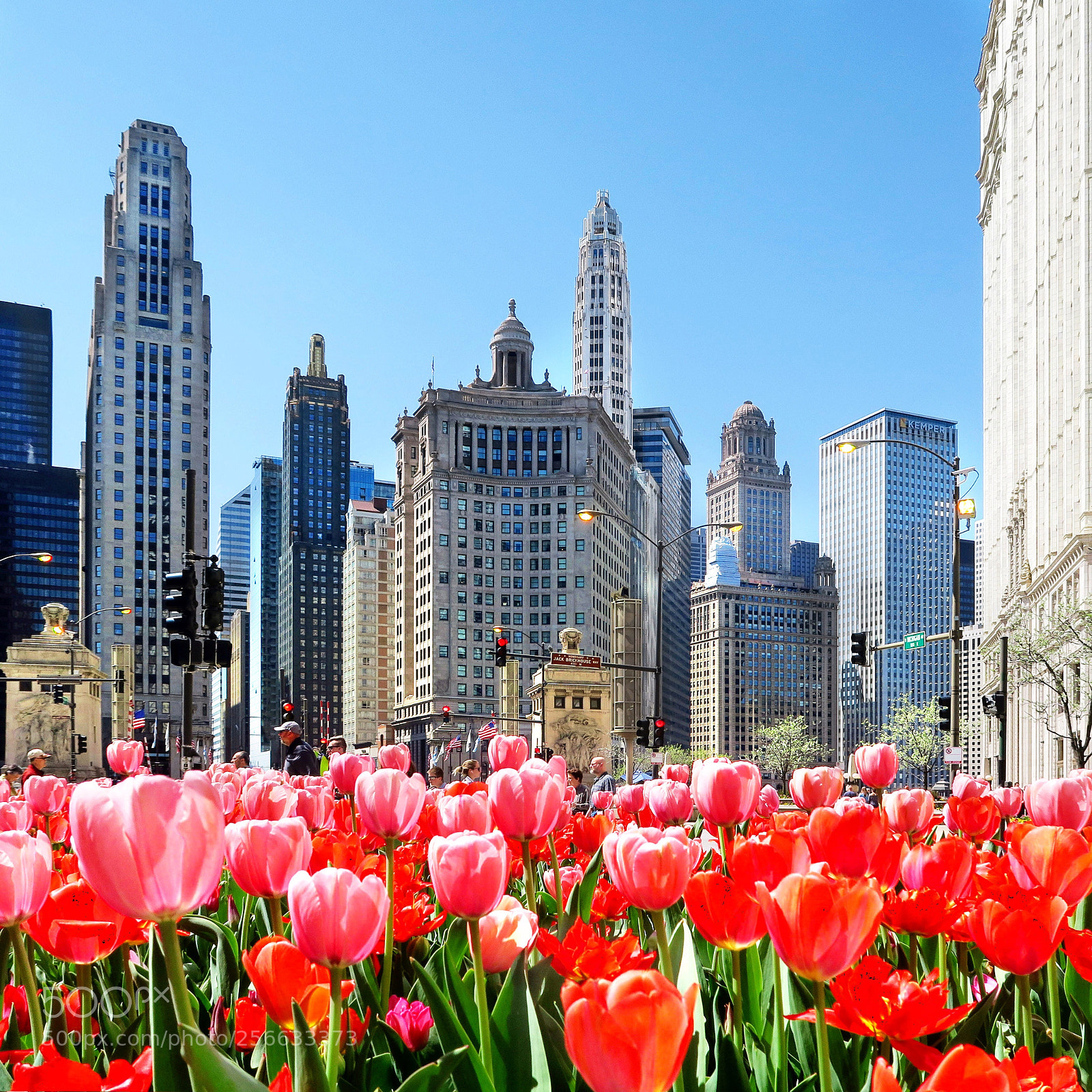 Canon PowerShot G7 X sample photo. Chicago kind of spring photography