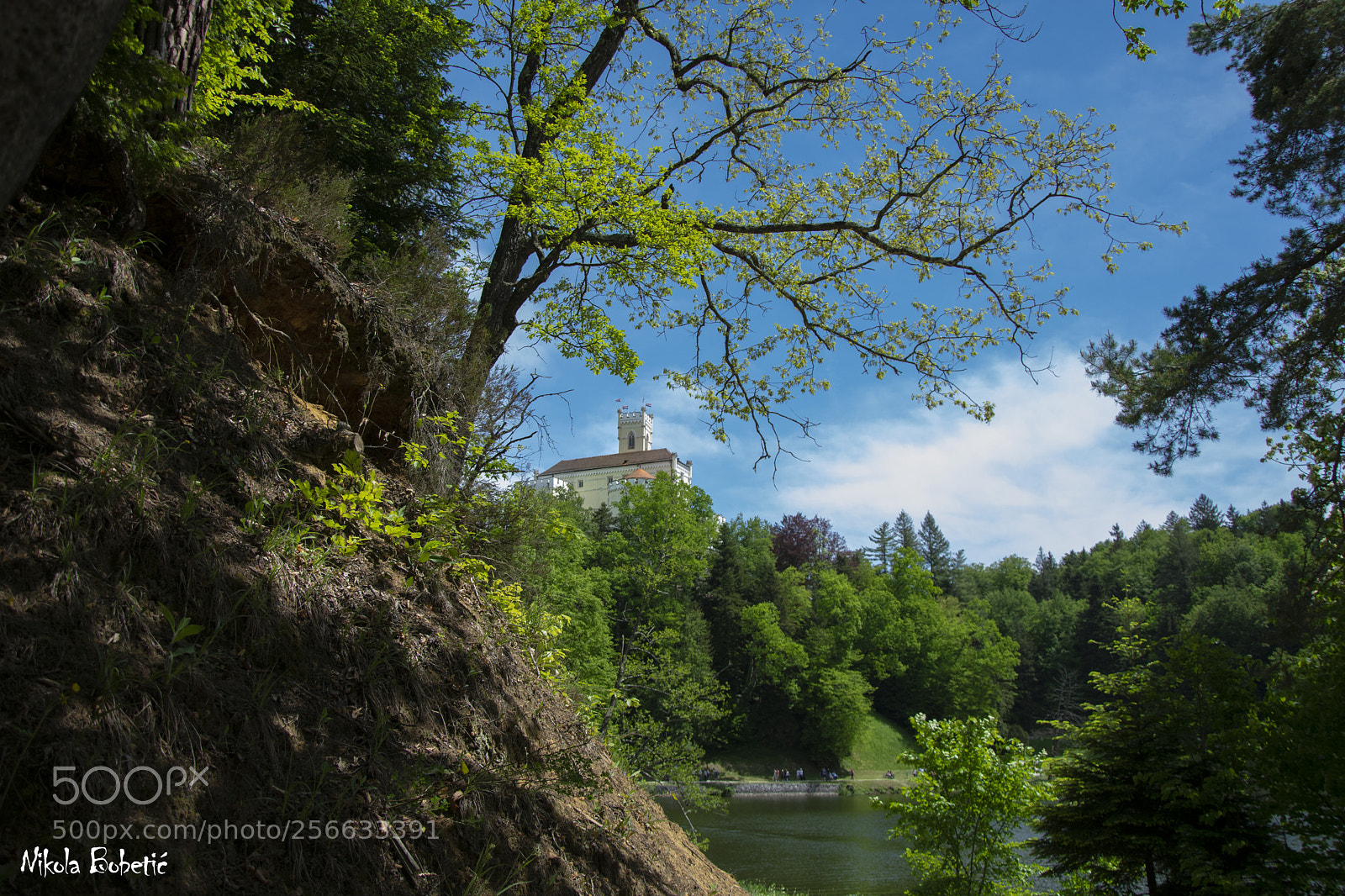 Nikon D3300 sample photo. Castle in nature photography