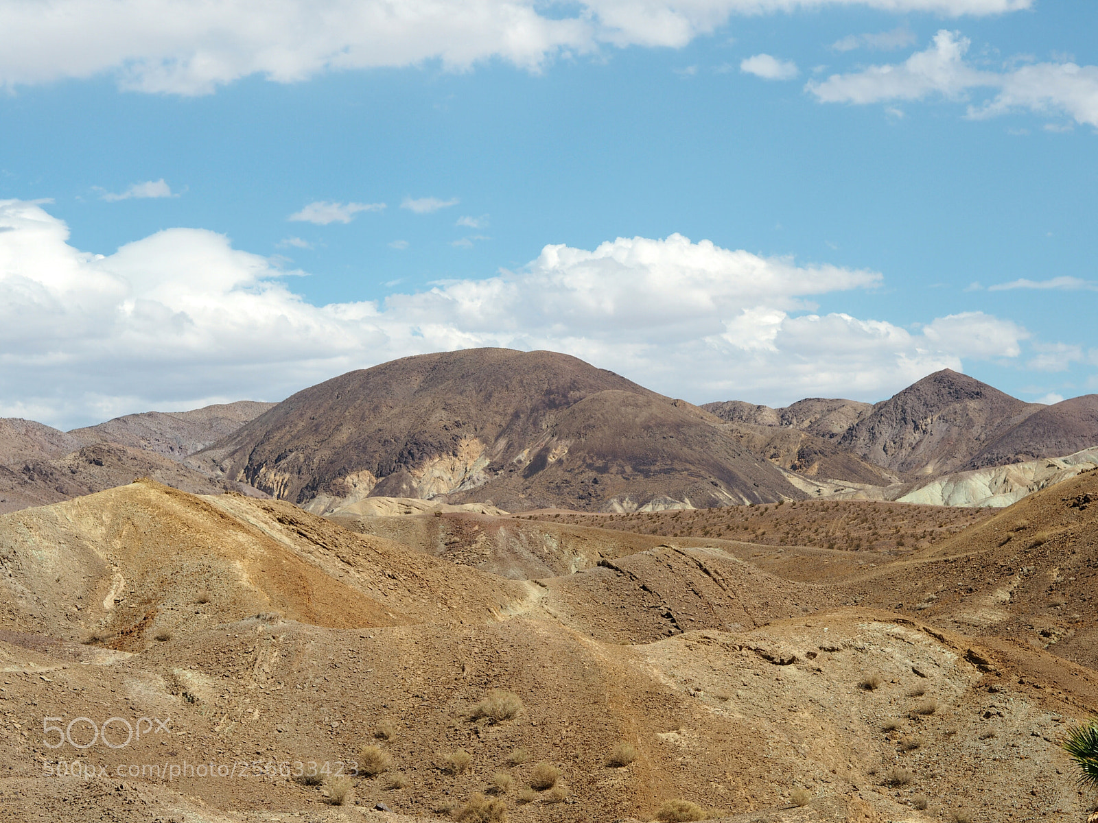 Olympus PEN E-PL7 sample photo. Mojave desert photography
