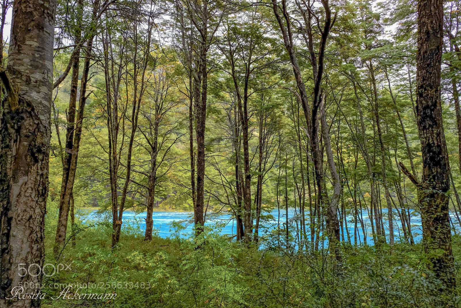 Fujifilm X-T20 sample photo. Rio baker - patagonia photography