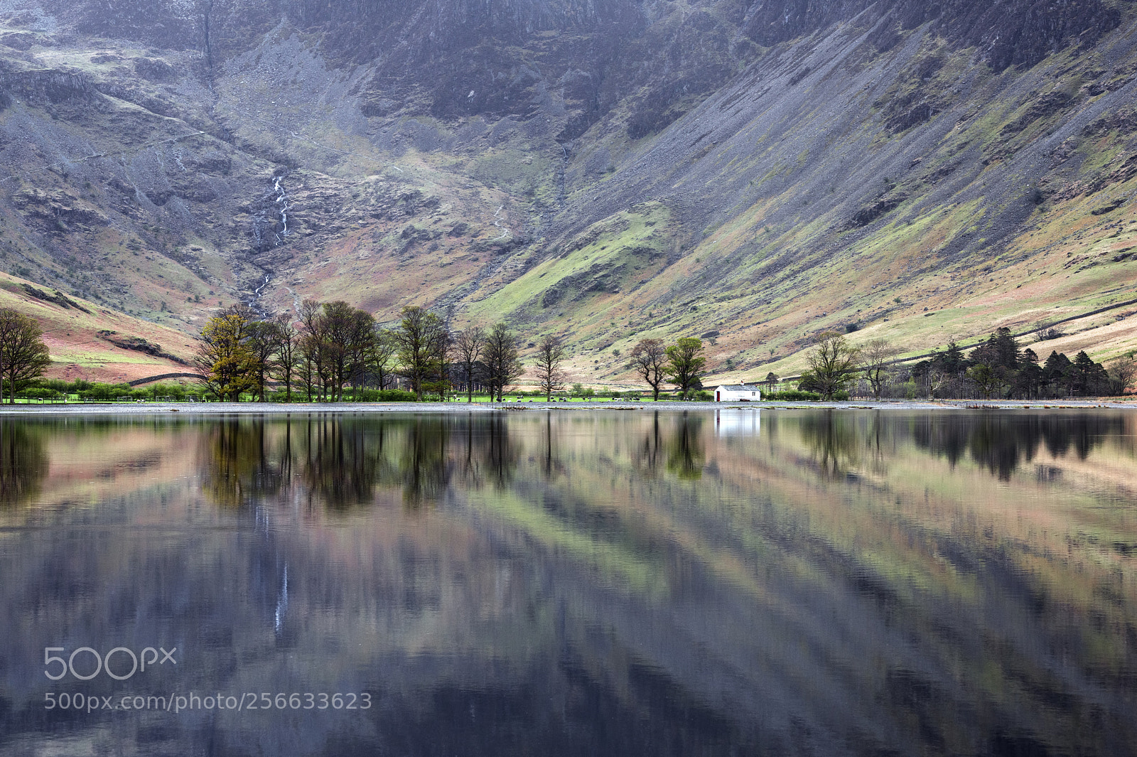 Nikon D800 sample photo. Buttermere morning photography