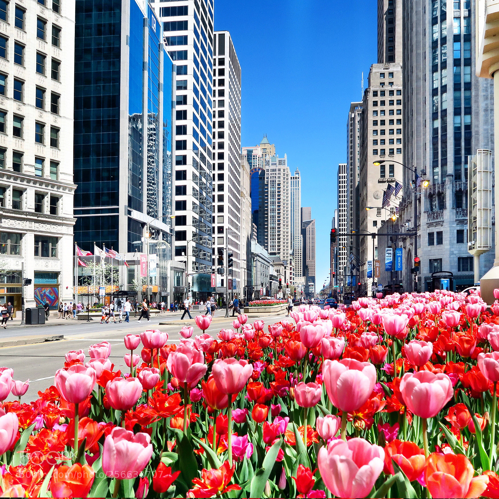 Canon PowerShot G7 X sample photo. Michigan ave chicago photography