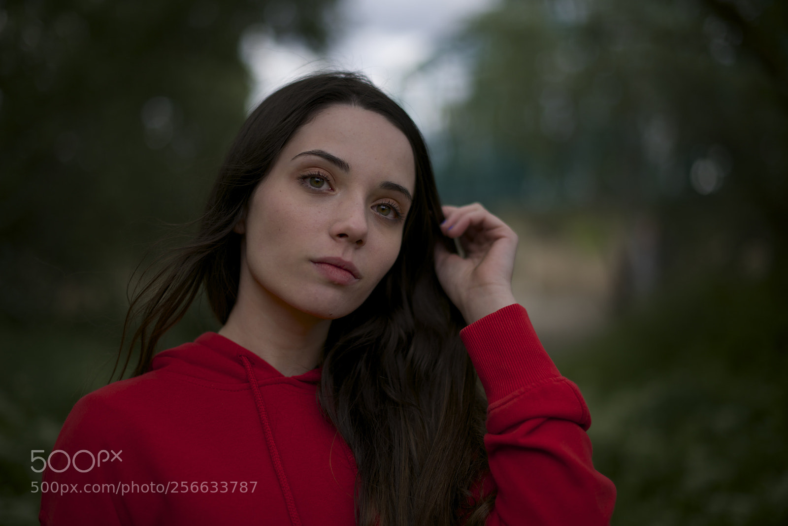 Nikon D800 sample photo. Puente verde vi photography