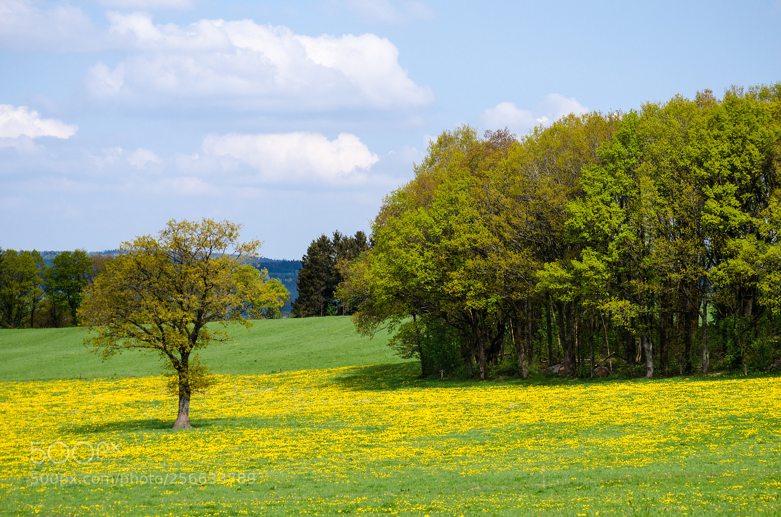 Nikon D7000 sample photo. Only one got away photography