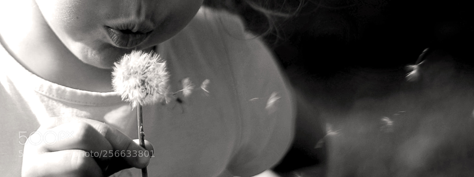 Nikon D5100 sample photo. Make a wish photography